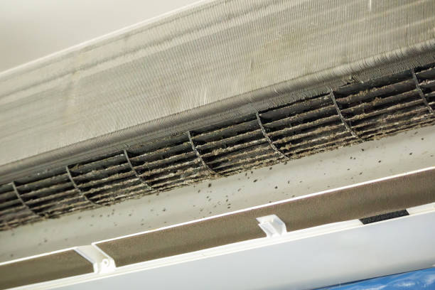 Best Affordable HVAC Duct Cleaning  in Gretna, VA